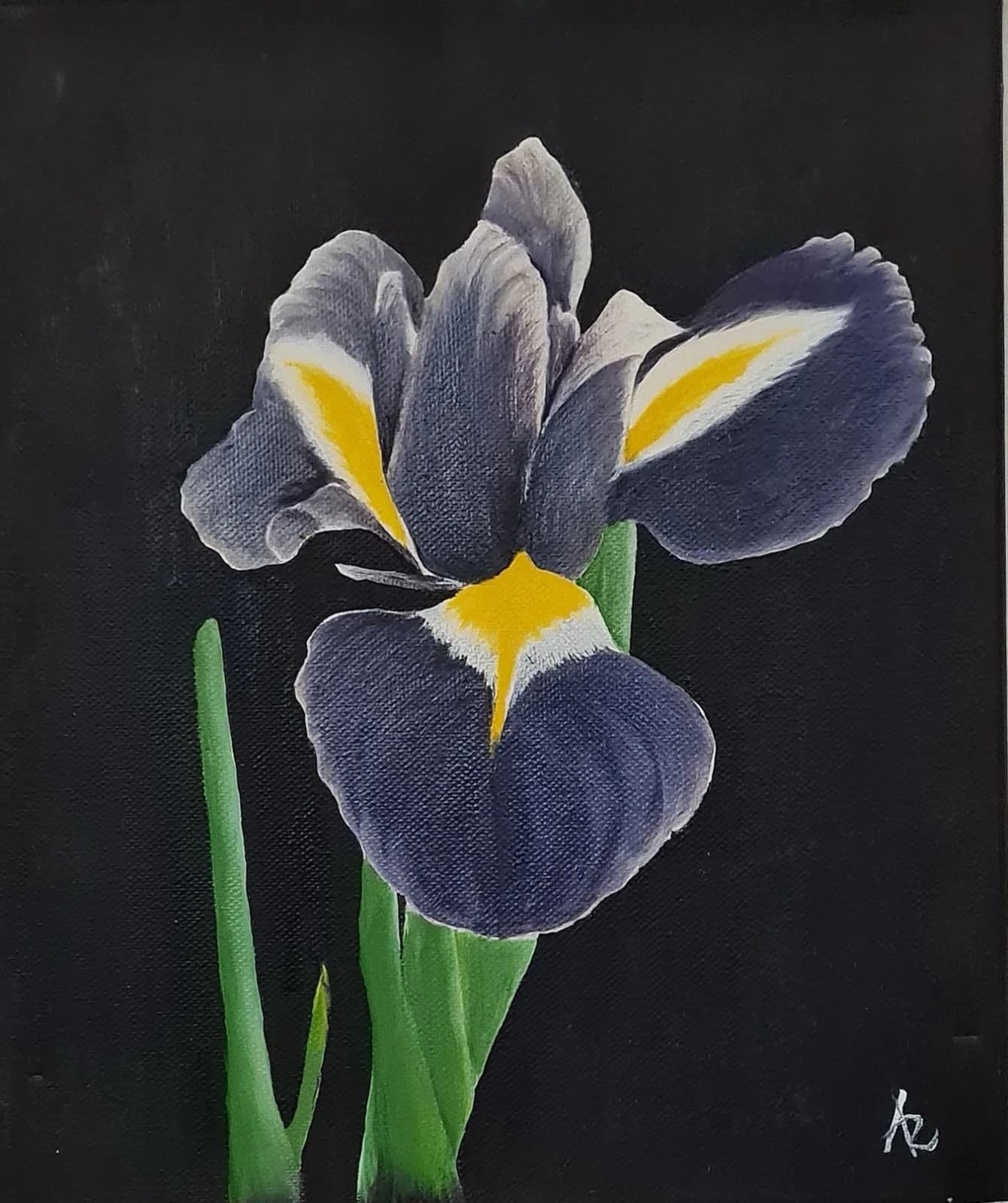 Iris Flower by Artur Rama